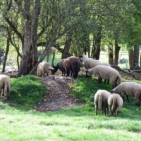 Vakantiehuis A La Ferme Qui Prend Racines *