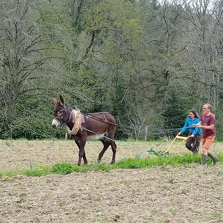 Vakantiehuis A La Ferme Qui Prend Racines *